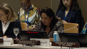 A woman in speech, Pramila Patten – the UN Under-Secretary General and Special Representative on Sexual Violence in Conflict. Three women sit in the background looking down at their phones or notes.