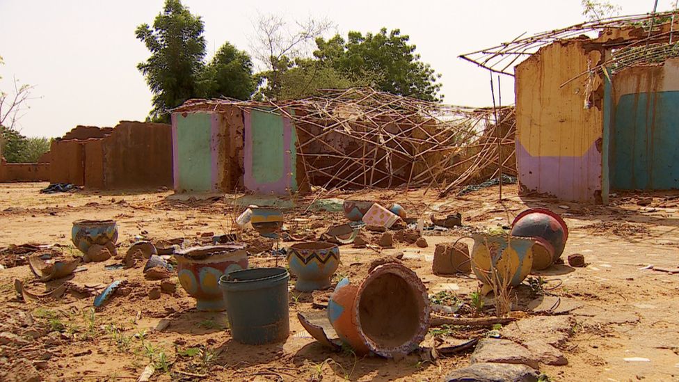 Critical Humanitarian Crisis in Darfur as a Direct Result of the Coup