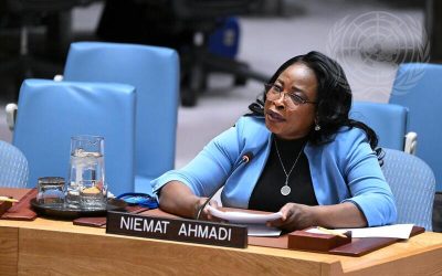 DWAG Advocates for Sudan at UNGA 80